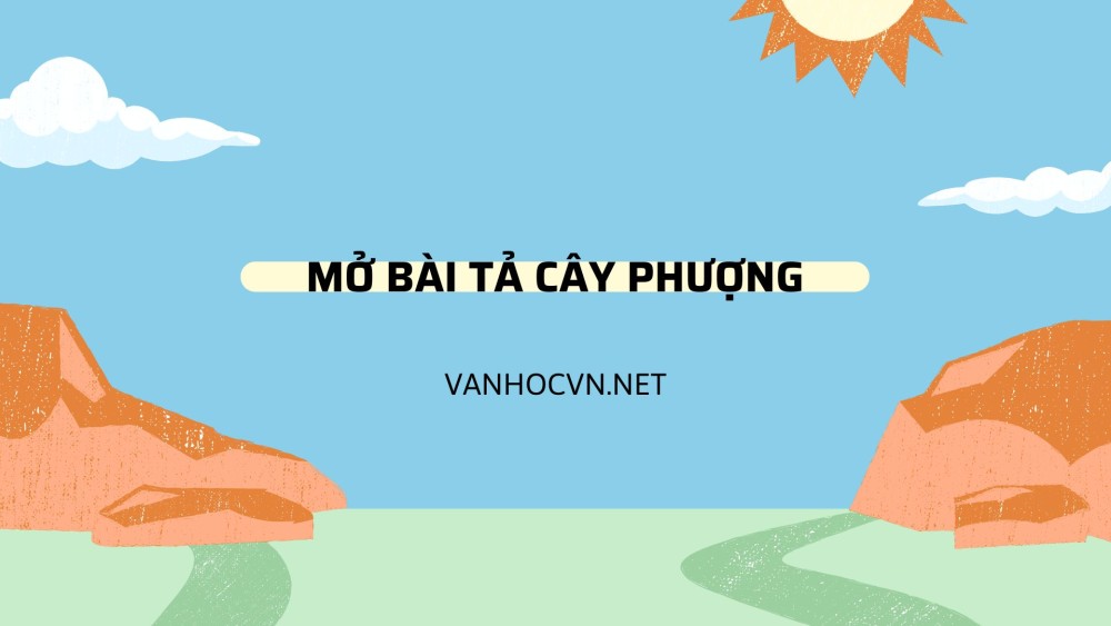 Tổng hợp mẫu mở bài tả cây phượng gián tiếp hay nhất